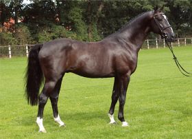 06_28_patendro_stand.jpg